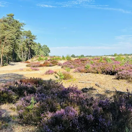 Veluwe Retreat Otterlo! Chalet *